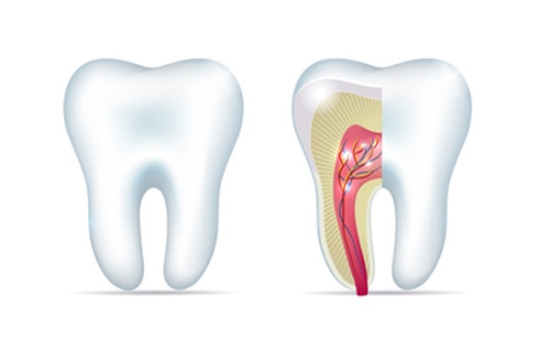 endodontics